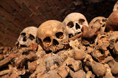 Rome (Civitavecchia) Catacombs
